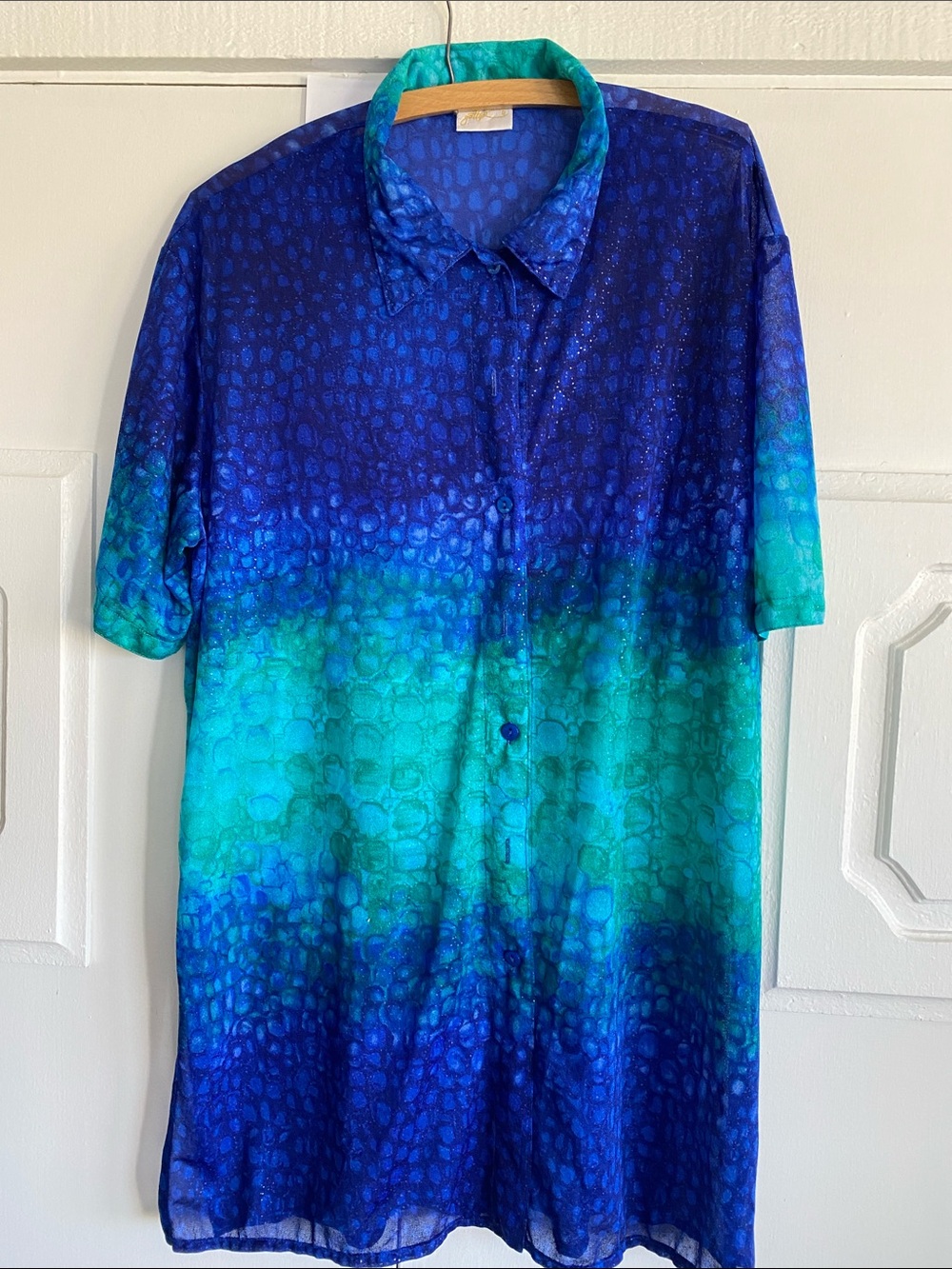 Gottex Blue & Teal Sheer Blouse with Silver Sparkle